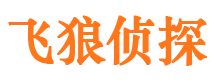 金川寻人公司